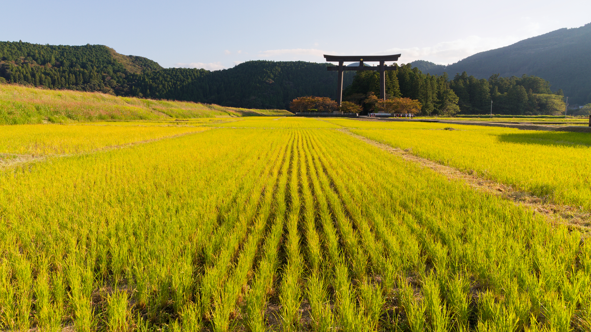 08-Kumano Kodo (49).jpg
